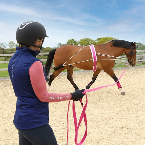 Lunging Equipment