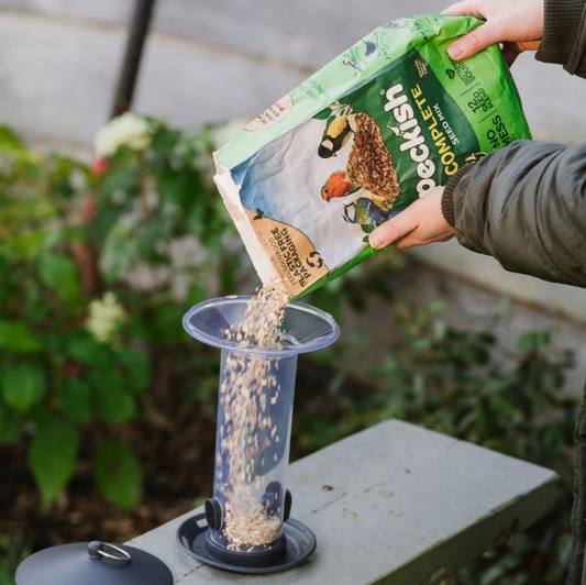 Peckish Funnel Seed Feeder