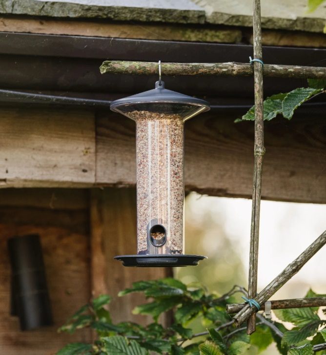 Peckish Funnel Seed Feeder