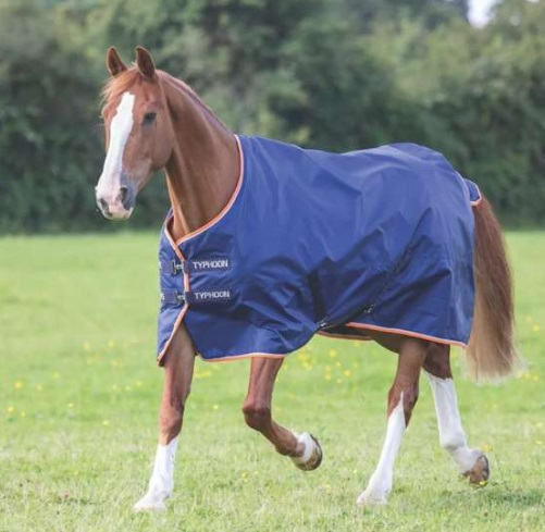 Typhoon 100 Turnout Rug Navy