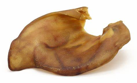 Pigs Ear