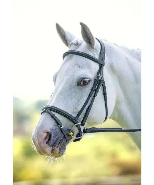 RAPIDA Raised Flash Bridle Black