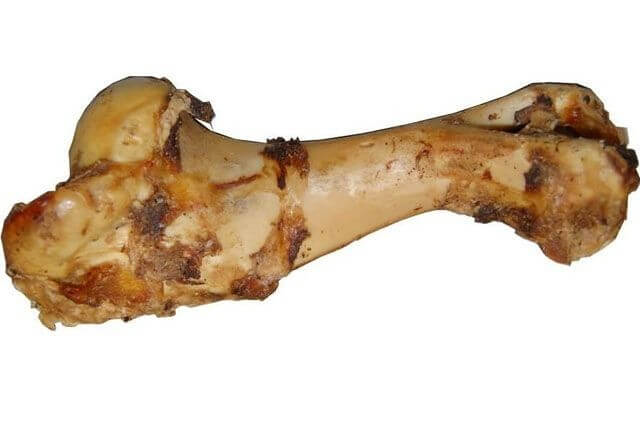 Jurassic Bone