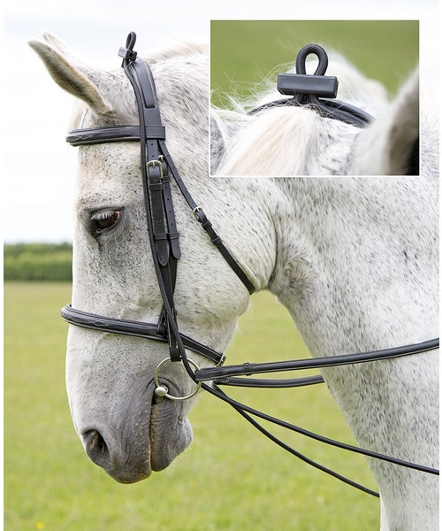 Elastic Training Reins
