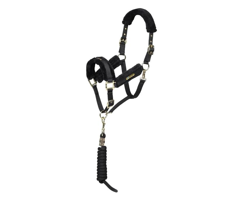 ARMA Logo Headcollar & Leadrope