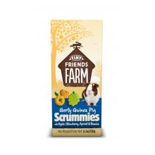 Gerty Guinea Pig Scrummies 120g