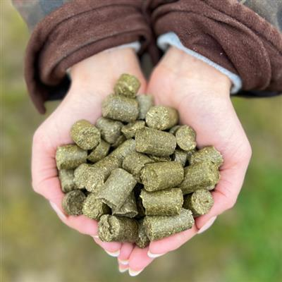 Silvermoor Eco Treatsies - 1 Kg