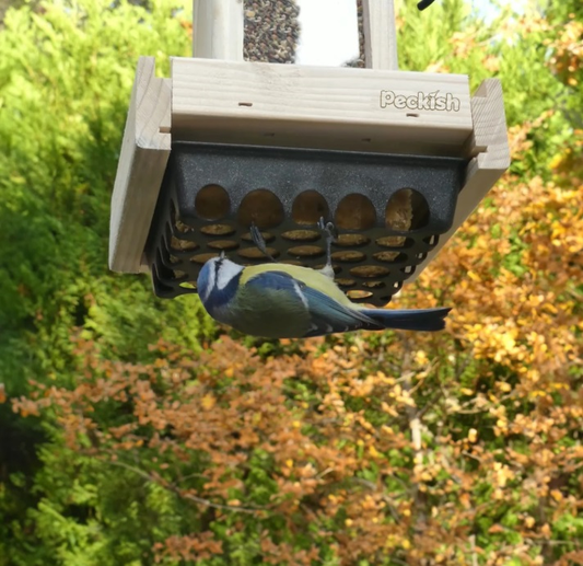 Peckish Woodland Feast Seed & Suet Cake Feeder