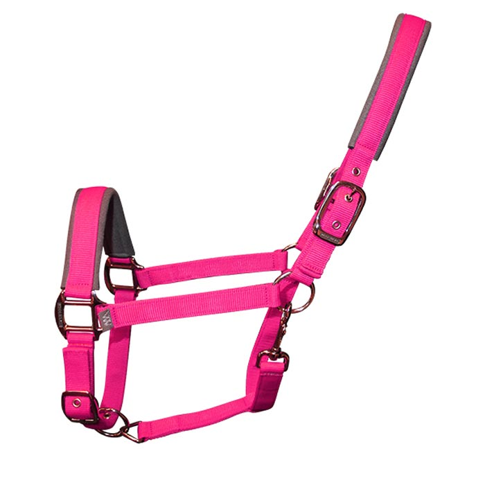 Woof Wear Contour Headcollar Berry