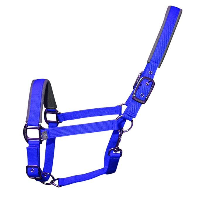 Woof Wear Contour Headcollar Electric Blue