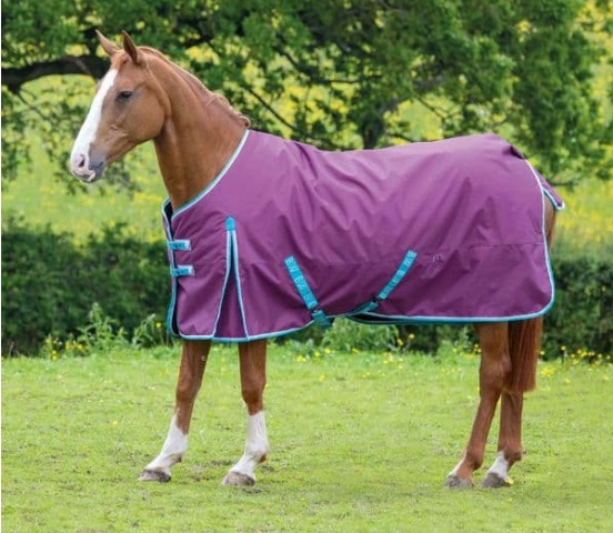 Bridleway Ontario 220g Turnout Rug Berry