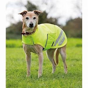 Shires Equi-Flector Dog Coat Yellow