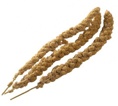 Pre Weighed Millet Sprays 250g