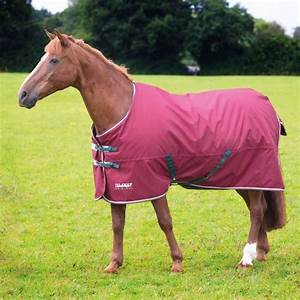 Tempest Orig 200g MAROON 5ft3
