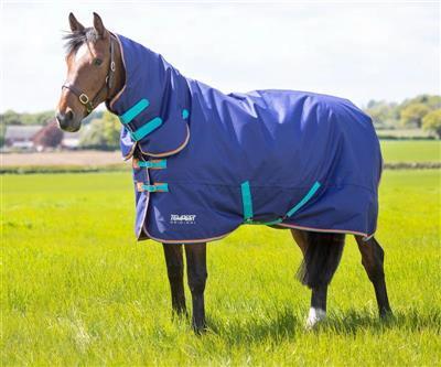 Tempest 100g Combo Navy Blue