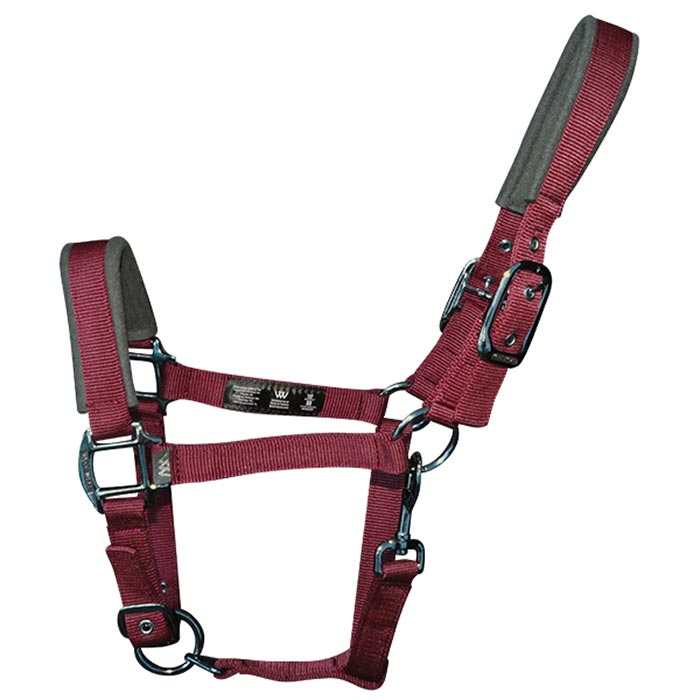 Woof Wear Contour Headcollar Shiraz