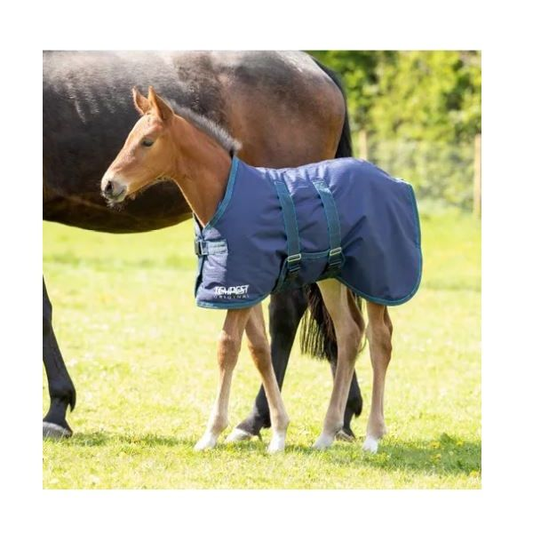 Tempest Original Foal Turnout Navy/Turquoise