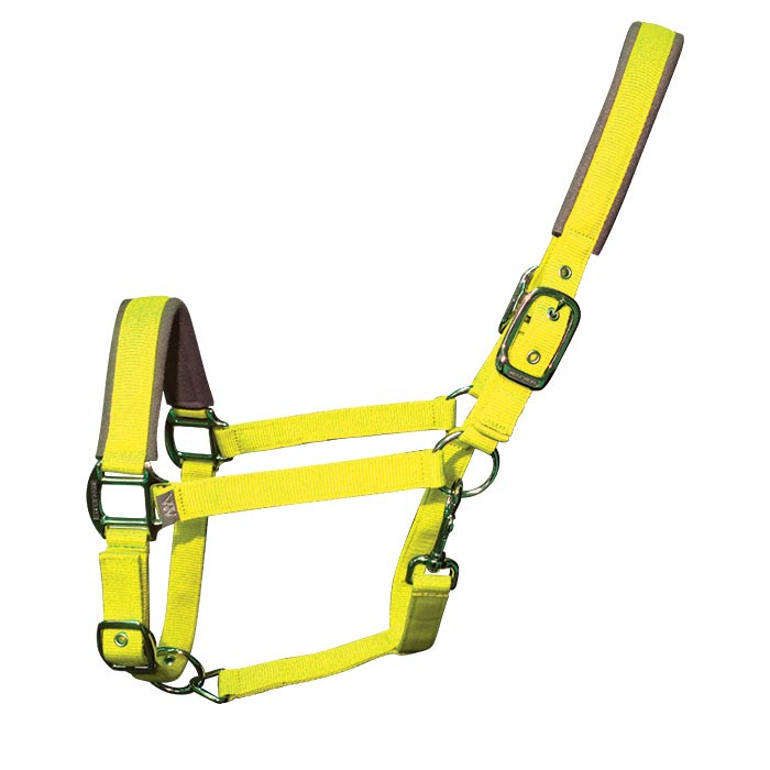 Woof Wear Contour Headcollar Sunshine Yellow