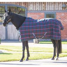 Tempest Plus 100g Stable Green Check