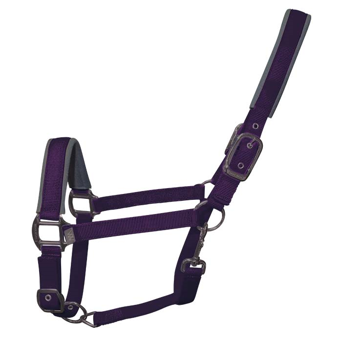 Woof Wear Contour Headcollar Damson
