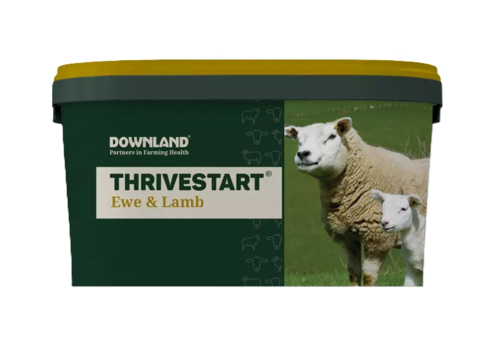 Downland Thrivestart Ewe & Lamb
