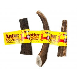 Antler Medium (Single)