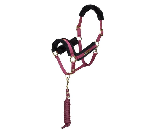 ARMA Logo Headcollar & Leadrope