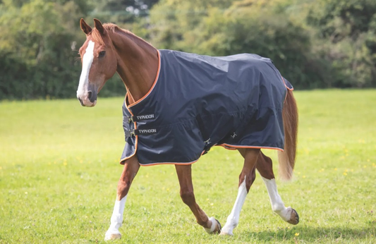 Typhoon 200 Turnout Rug Black (Pony Sizes)