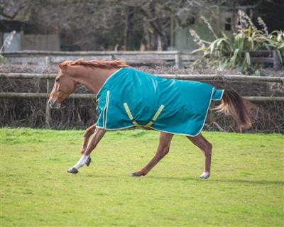 Bridleway Ontario 100g Green Turnout Rug