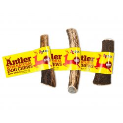 Antler Small (Single)