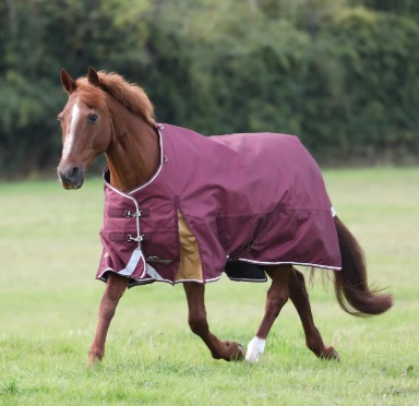 Highlander Plus 100 Turnout Rug 5ft9 Maroon