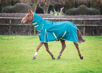 Bridleway Ontario 100g Combo Turnout Rug Green