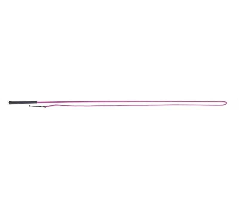 Lunging Whip Assorted