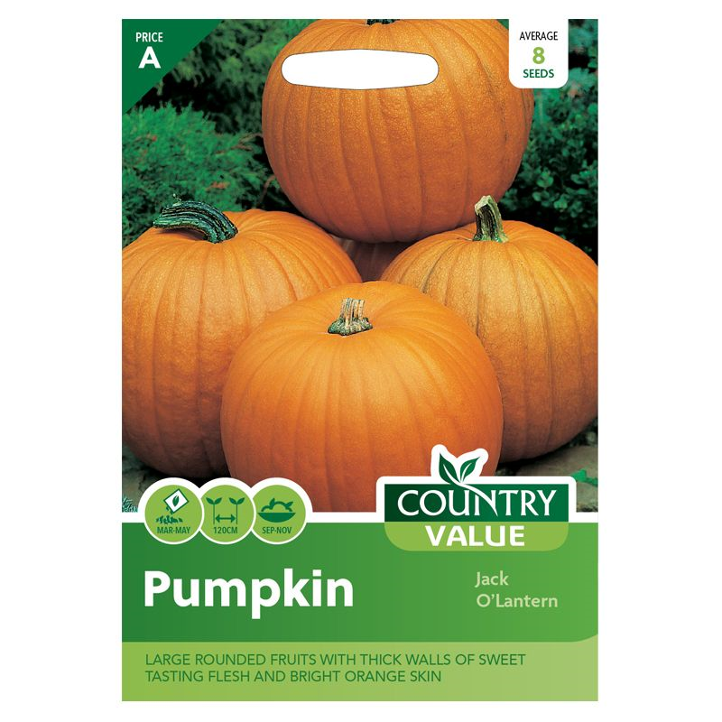 Pumpkin Jack O Lantern Seeds