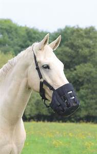 Shires Comfort Grazing Muzzle Black