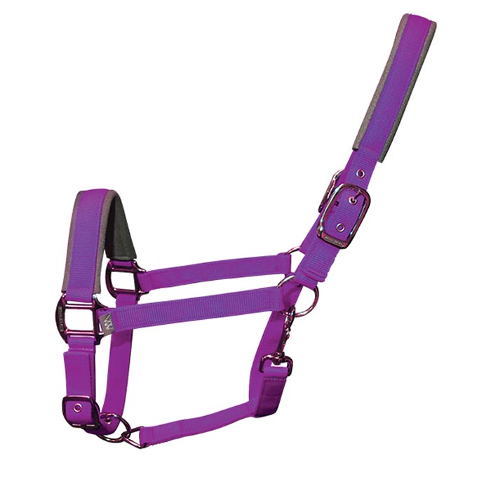 Woof Wear Contour Headcollar Ultra Violet
