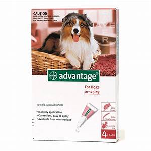 Advantage 250 Dog 10kg - 25kg