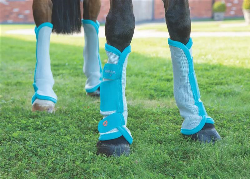 Fly Turnout Socks Teal
