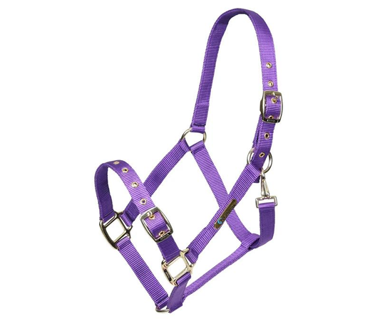 ARMA Adjustable Headcollar