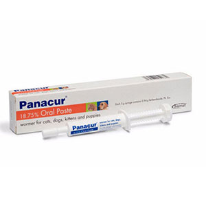 Panacur Paste Cat/Dog 5g syringe