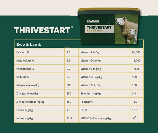 Downland Thrivestart Ewe & Lamb Lick 20kg