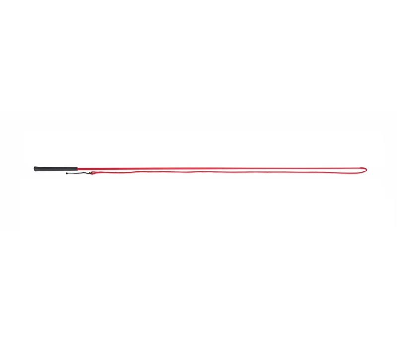 Lunging Whip Assorted