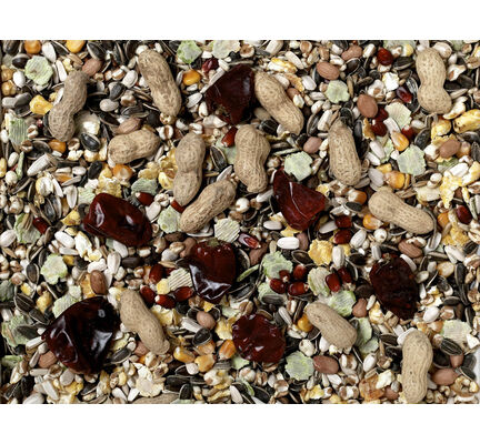 Johnston & Jeff No.1 Parrot Food 2kg