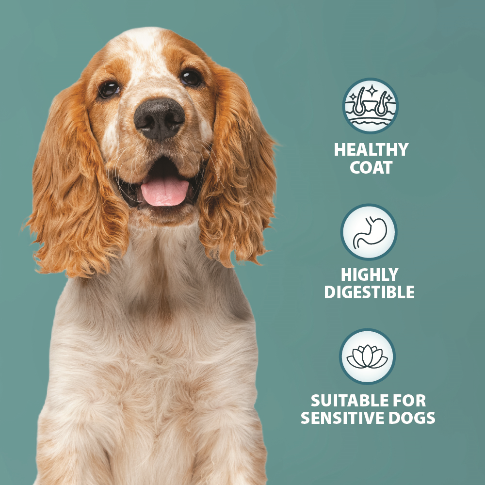 Burns Sensitive Grain Free Turkey & Potato 2kg