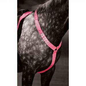 Equi-Flector Breastplate Pink