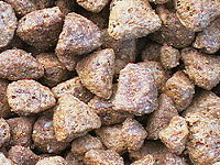 CSJ CHAMP ADULT 15kg