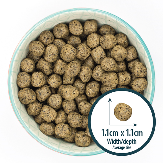 Burns Sensitive Grain Free Turkey & Potato 2kg