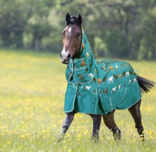 Bridleway Ontario 220g Combo Turnout Teal Horse Print