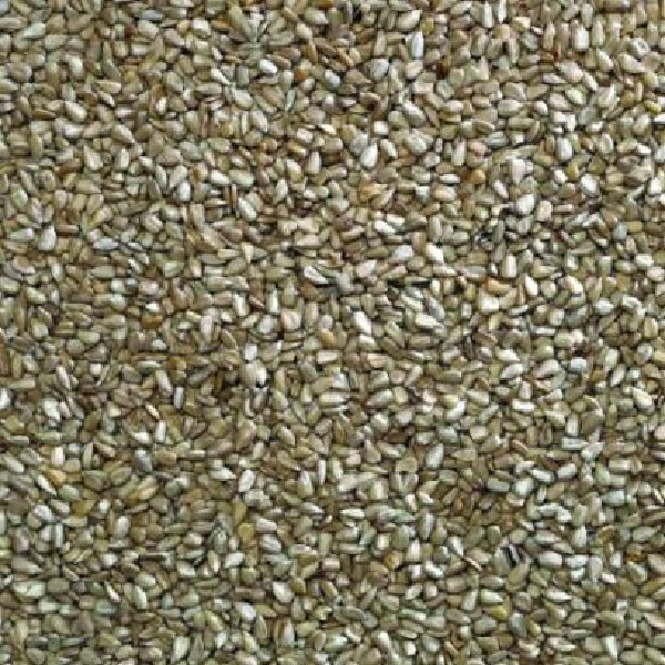 Sunflower Hearts 1kg