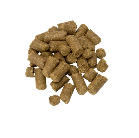 Shires Carrot Crunch Treats 1KG